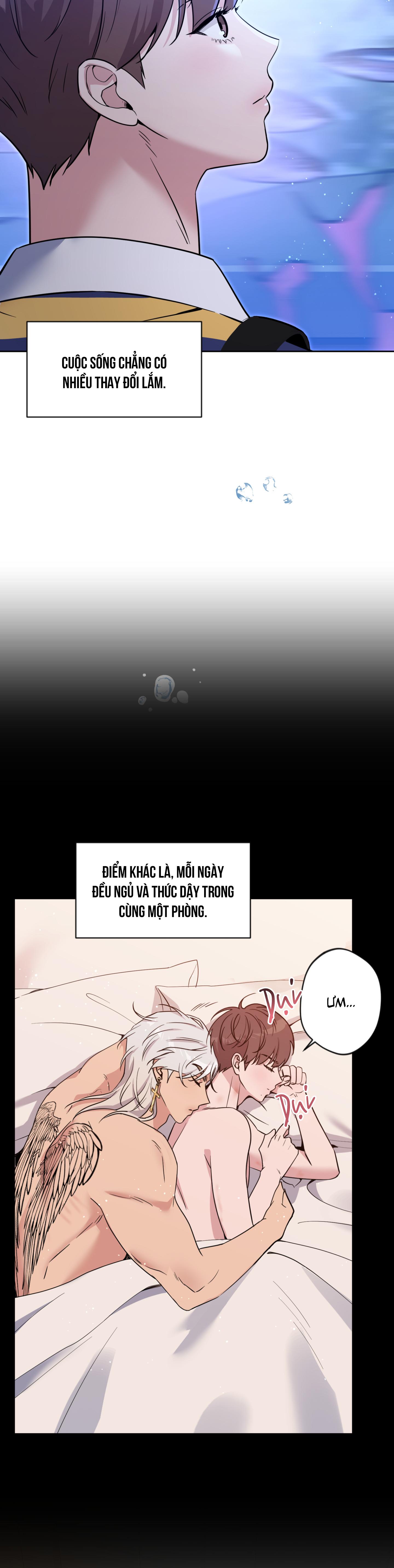 Angel kiss Chapter 50 End ss2 - Next 