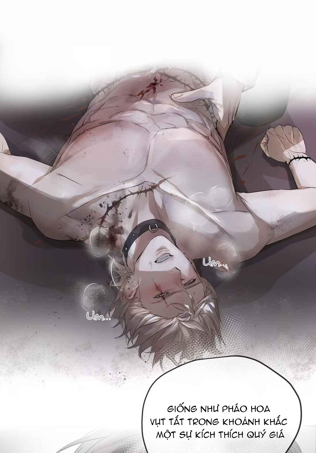(Daisy) Tôi Bị Chó Điên Phát Hiện Bản Thân Là Đồng Loại Chapter 4 - Trang 2