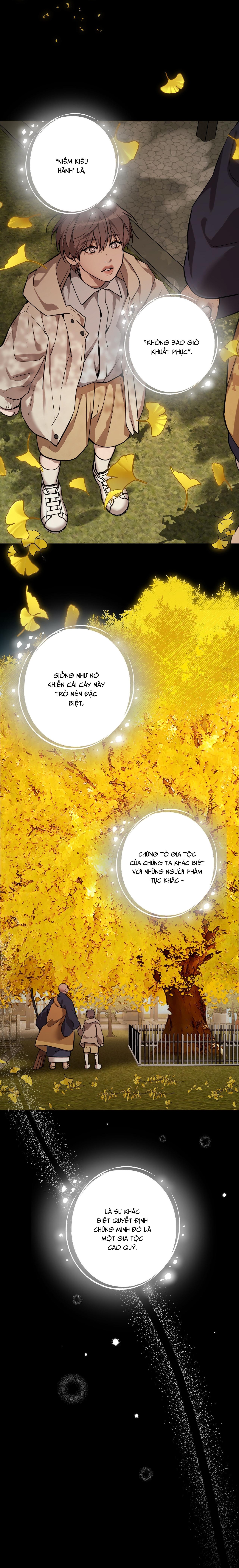 PEARL BOY: IGNITE THE DAWN Chapter 12 - Next 