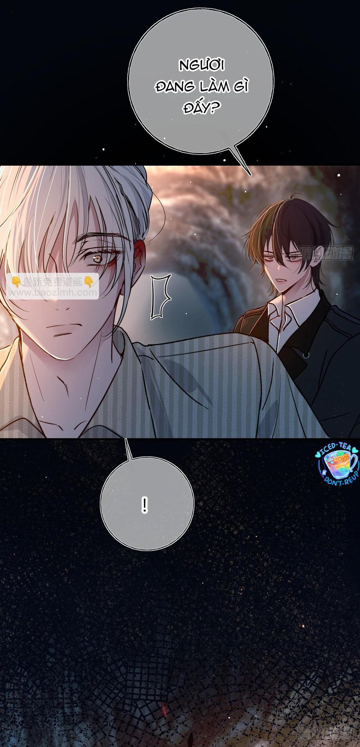 Tình yêu của kẻ khát máu Chapter 37.1 - Next Chapter 37.1