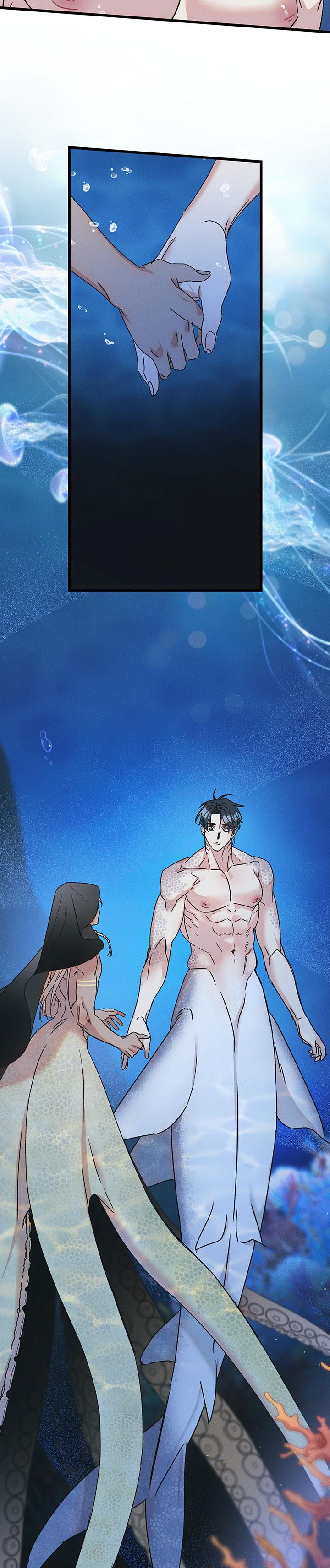 Mermaid's Cradle Chapter 1 - Next 