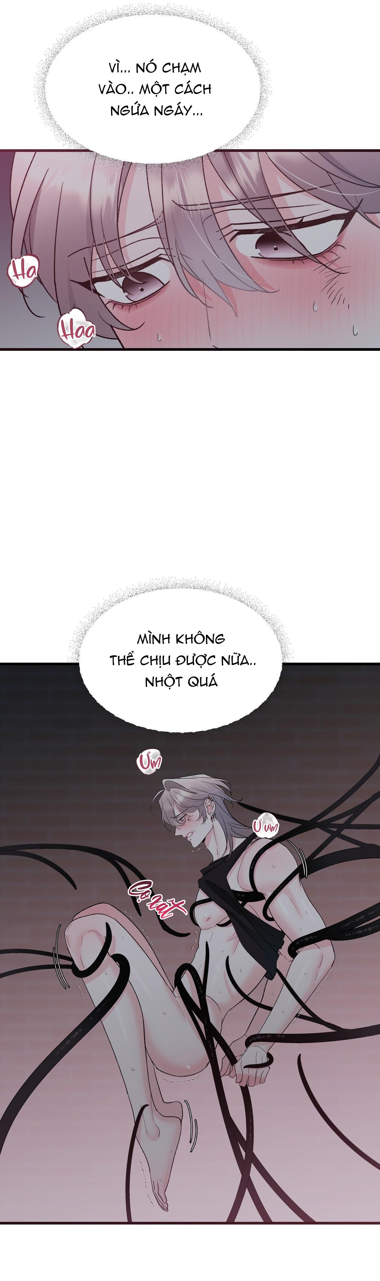 NHỊP ĐẬP Chapter 29 - Next Chapter 30
