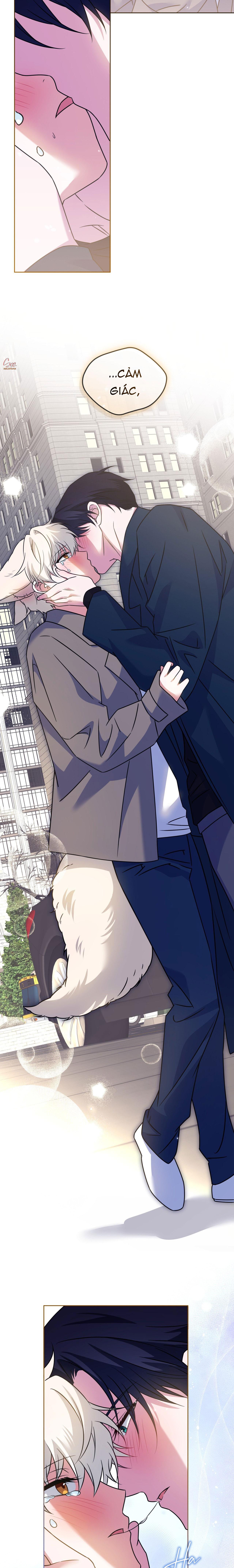 NƯỚC UỐNG TÌNH YÊU CỦA CÁO PLIN Chapter 41 - Next Chapter 42
