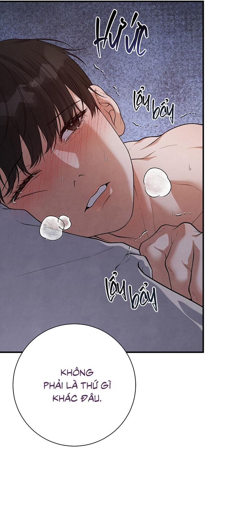 [DDT] HƯƠNG VỊ TÌNH THÂN Chapter 15 19+ - Trang 2