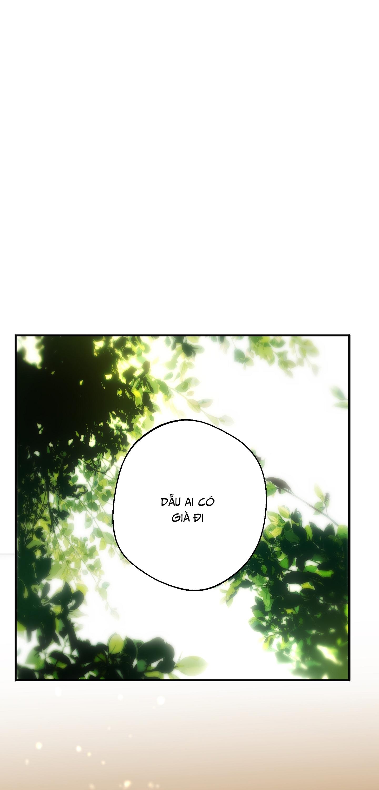 KHI VẬN MỆNH ĐƯA LỐI Chapter 7 - Next 