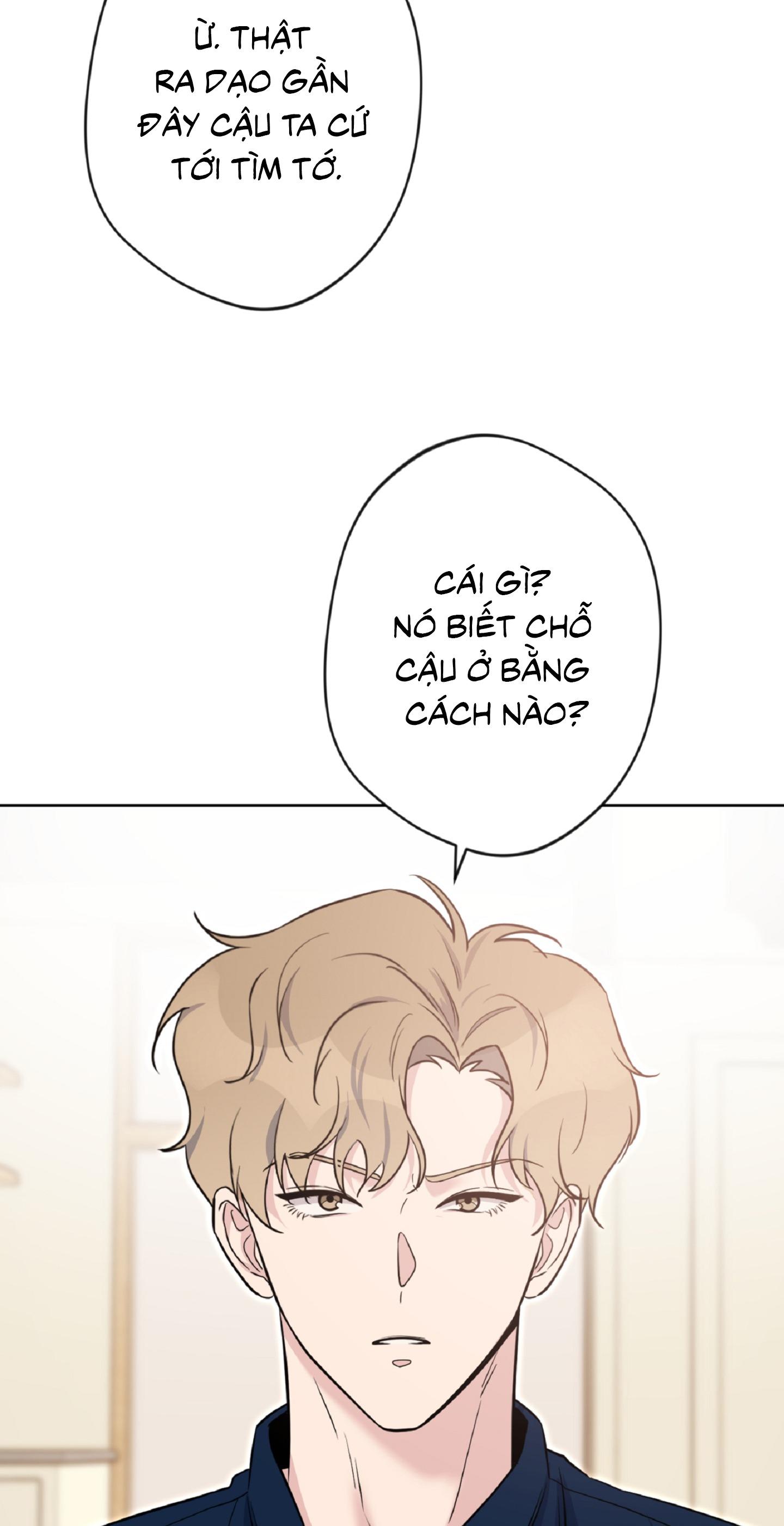 Angel kiss Chapter 19 - Next 