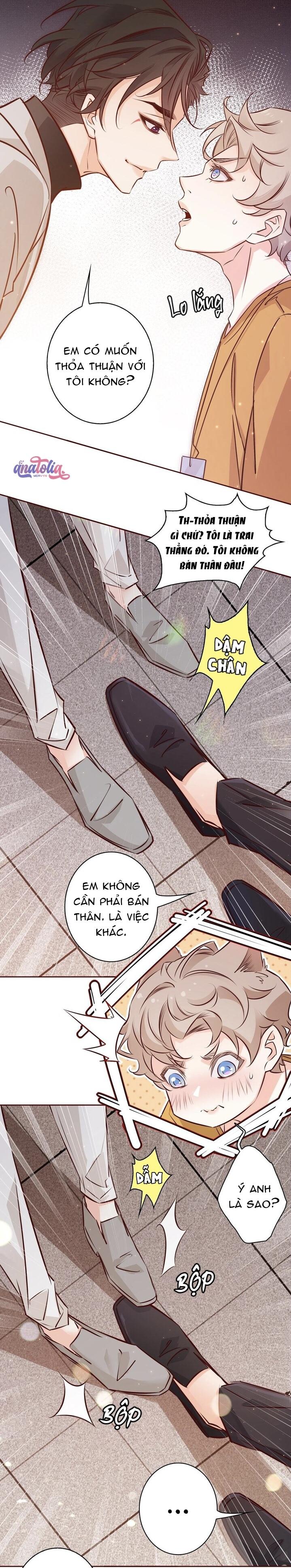 Yêu Em Bất Chấp Chapter 11 - Next 