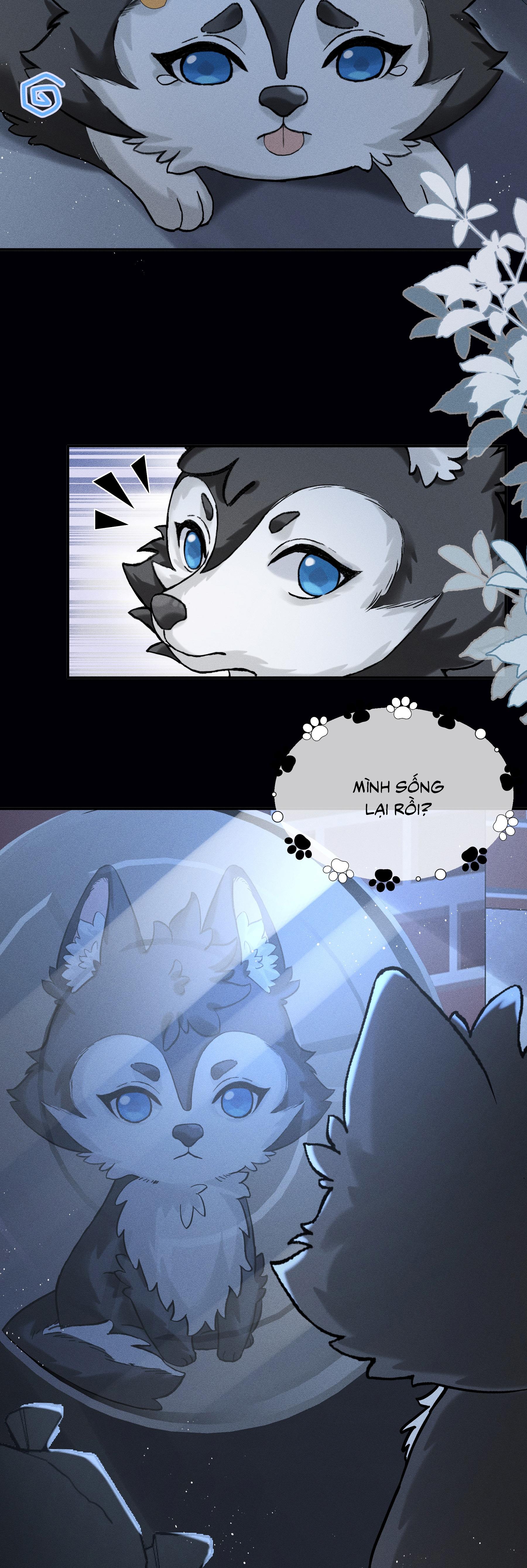 NHẬN GIẶC LÀM CHA Chapter 1 - Next 
