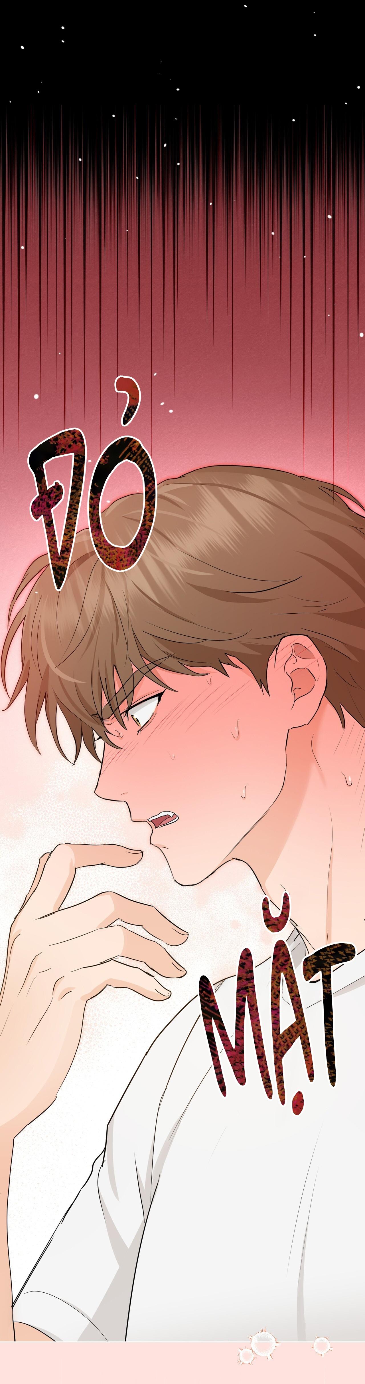 TÌNH YÊU KẸO BẠC HÀ Chapter 9 - Next 
