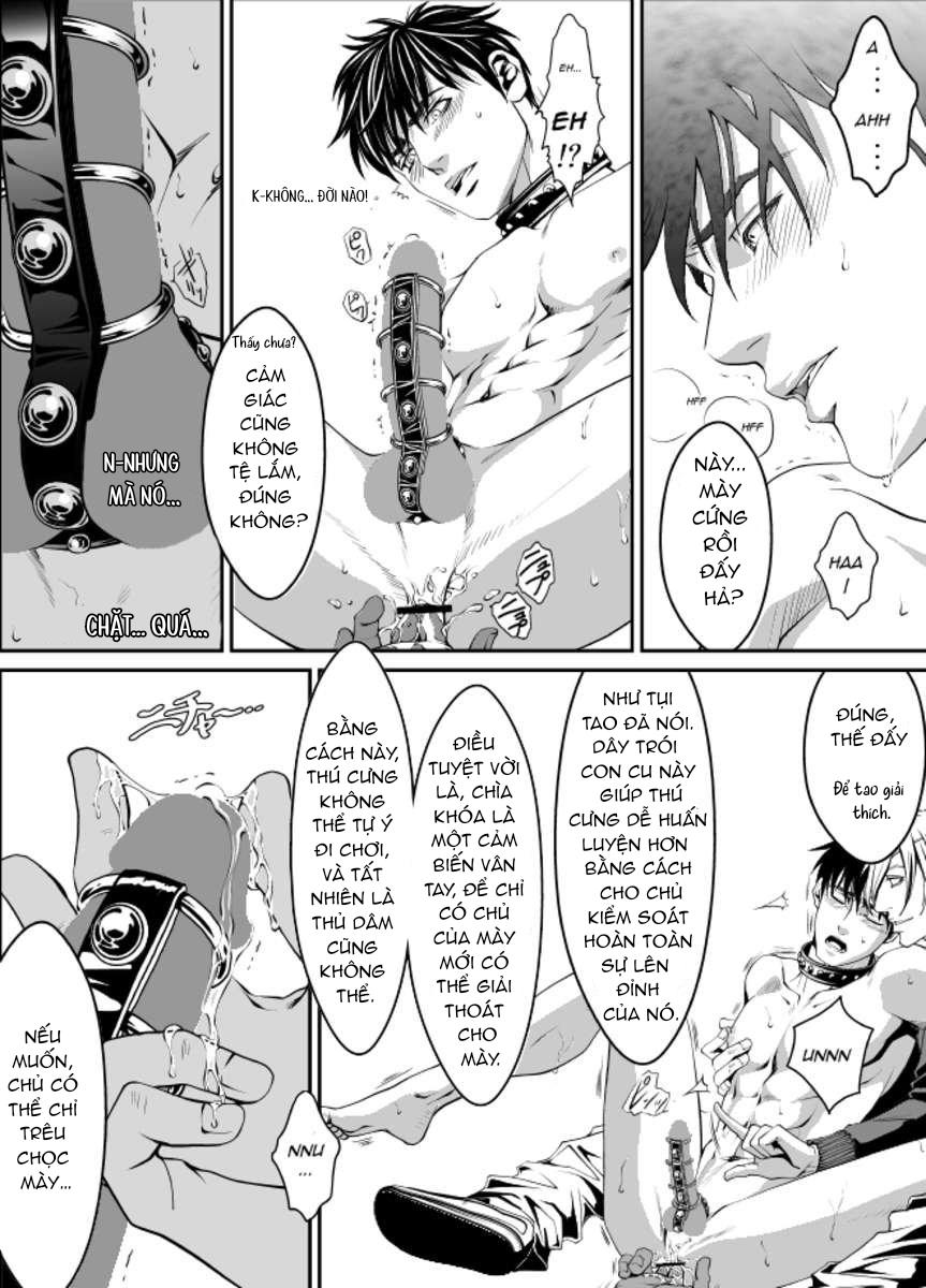 Đồ Chơi Tình Thú Chapter 21 - Next Chapter 22