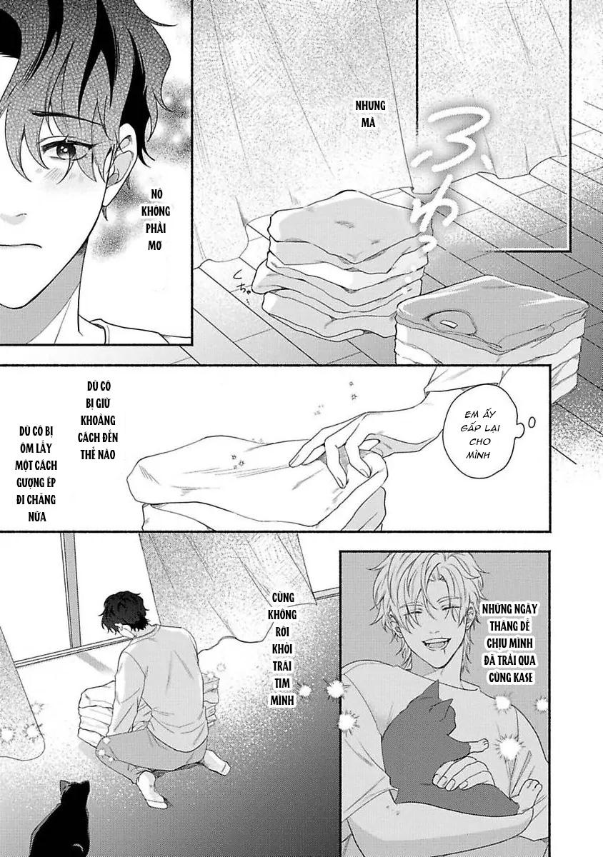 Chú mèo tinh nghịch và giấc mơ giữa ban ngày Chapter 4 - Next 