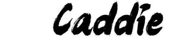 Caddie của riêng tôi Chapter 1 - Next 