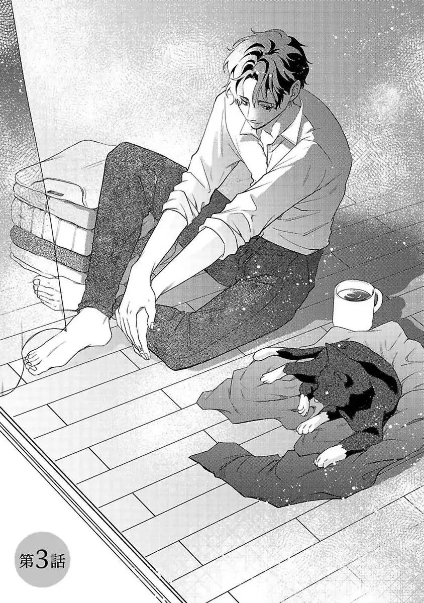 Chú mèo tinh nghịch và giấc mơ giữa ban ngày Chapter 3 - Trang 2