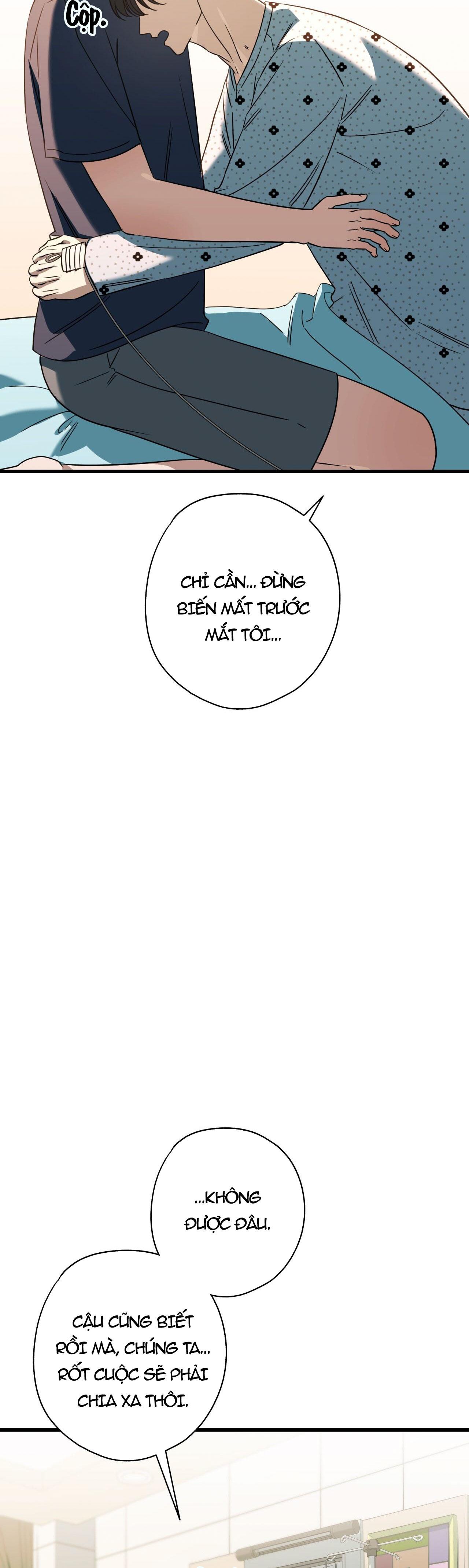 HỢP ĐỒNG KẸO NGỌT Chapter 39 - Next 