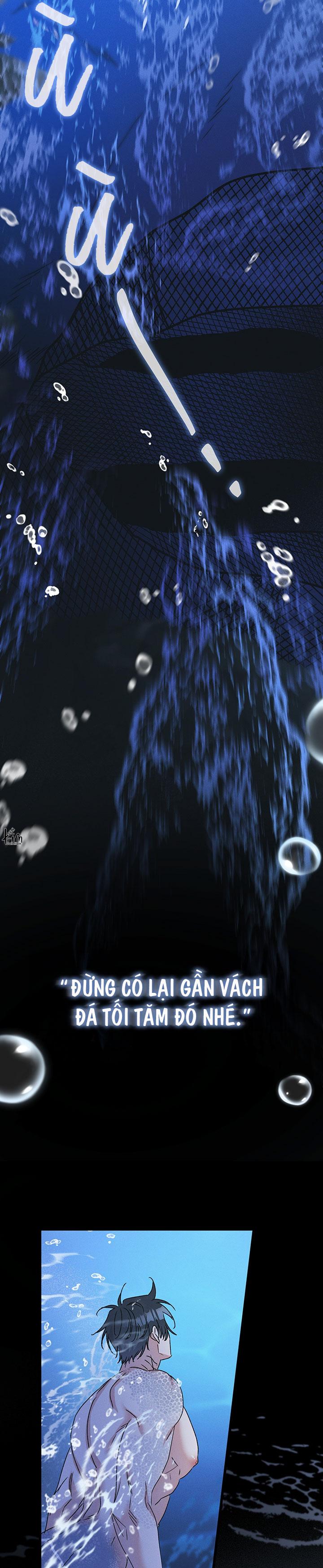 Mermaid's Cradle Chapter 1 - Next 