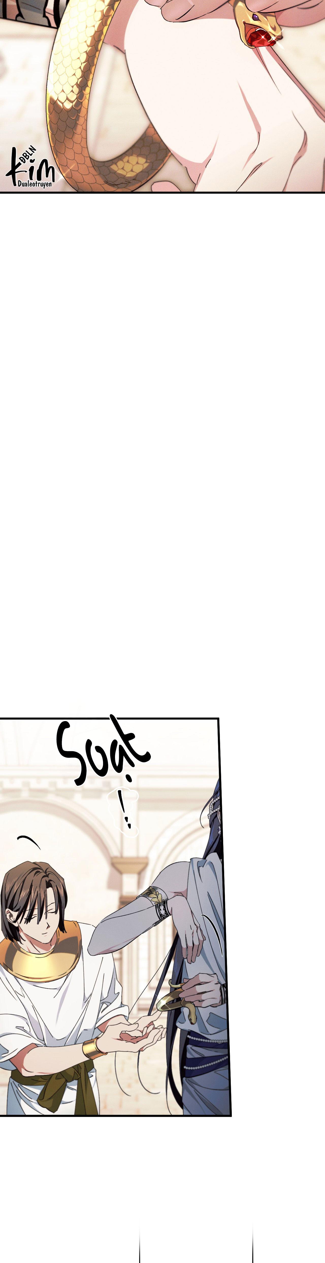 RẮN NUỐT LỰU Chapter 21 - Next Chapter 22