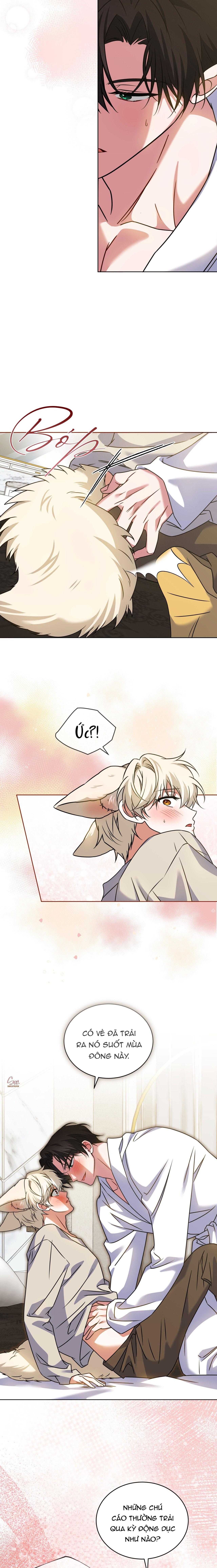 NƯỚC UỐNG TÌNH YÊU CỦA CÁO PLIN Chapter 43 - Next 
