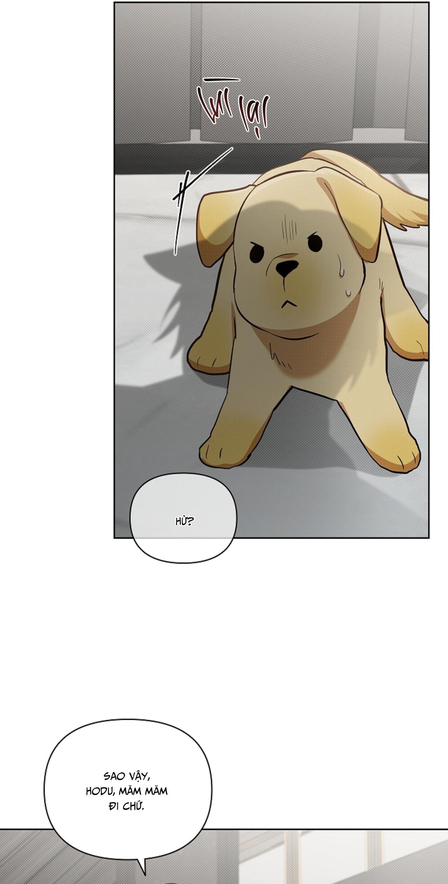 ĐỪNG CHẠM VÀO CÚN CON CỦA TÔI Chapter 46 NT 2 - Next 