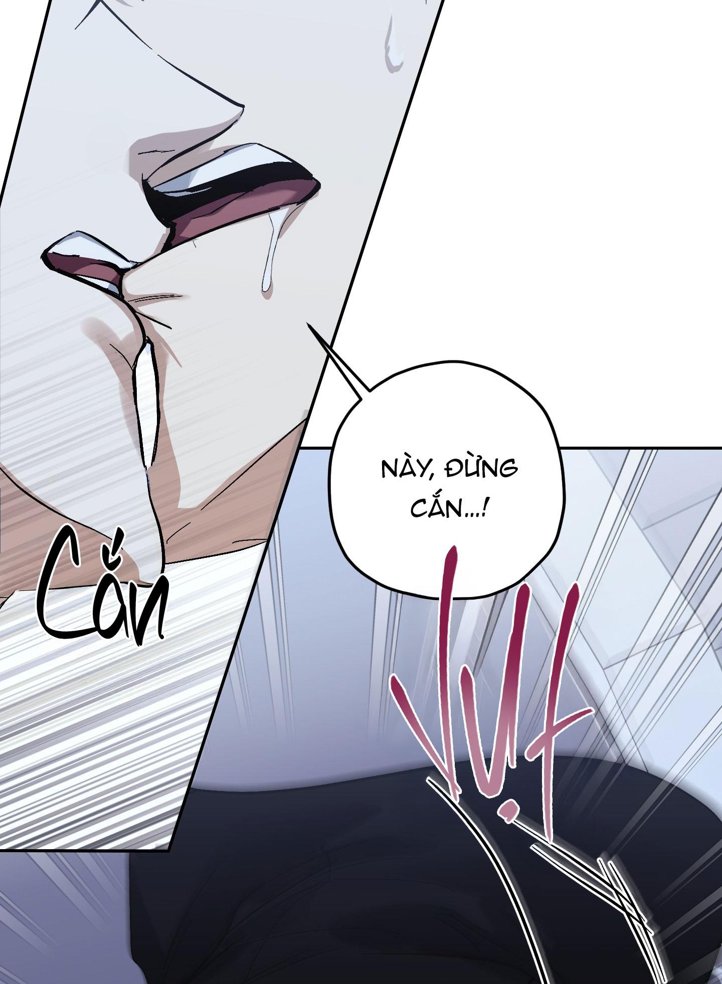 TƯƠNG XỨNG Chapter 11 - Trang 2