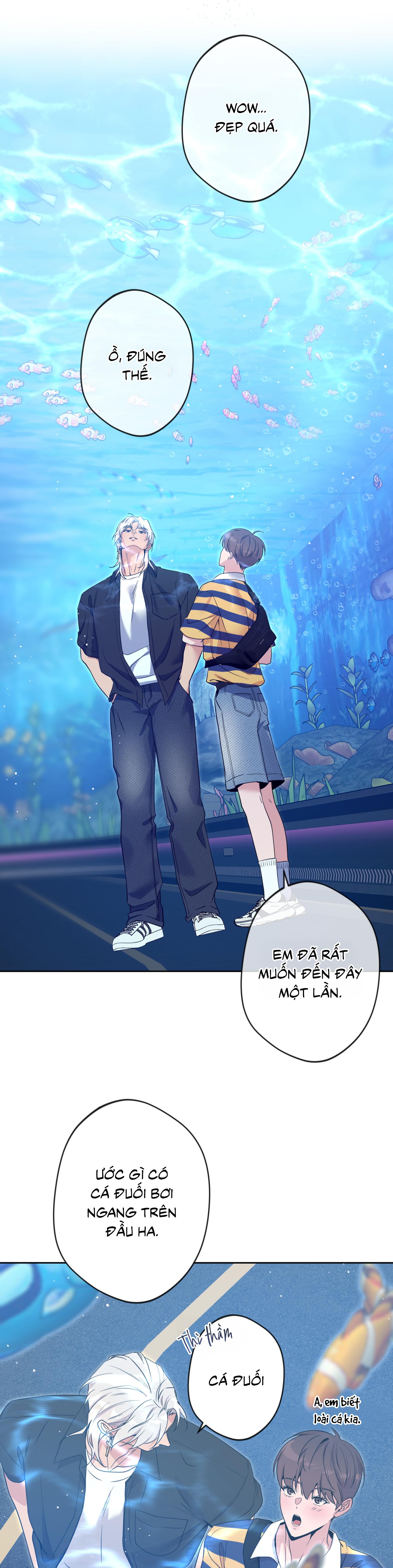 Angel kiss Chapter 50 End ss2 - Next 