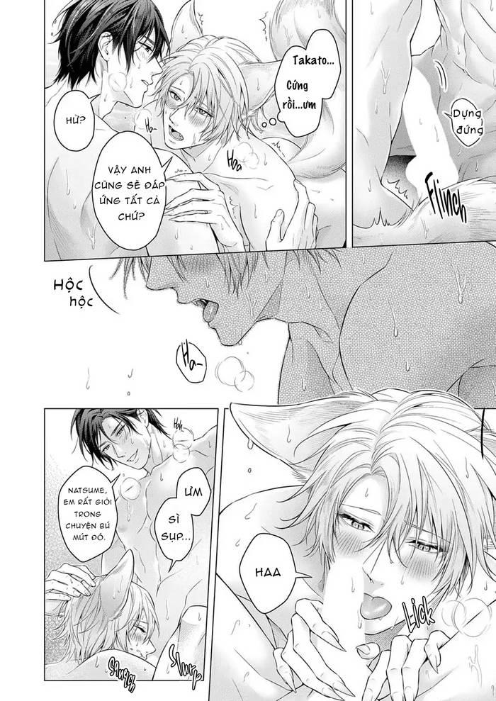 Hãy cho tôi chạm vào chiếc đuôi gợi cảm đó Chapter 7 - Next 