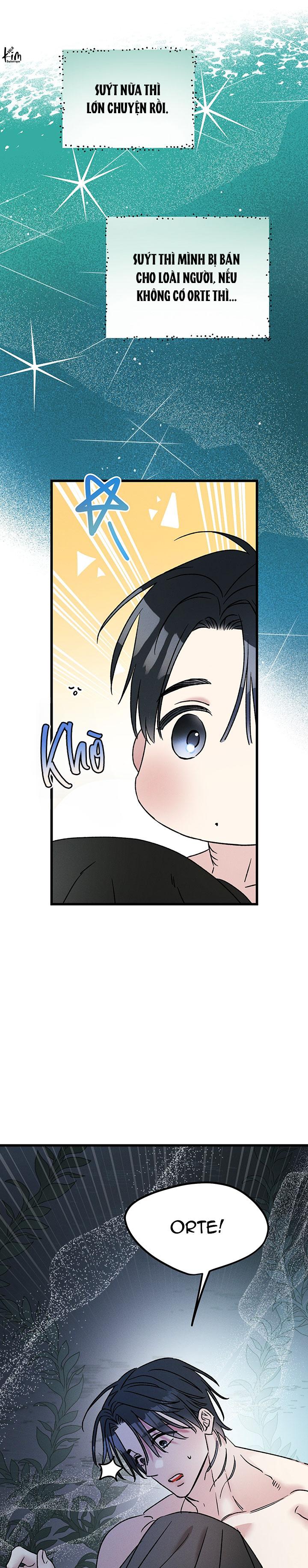 Mermaid's Cradle Chapter 11 - Next 