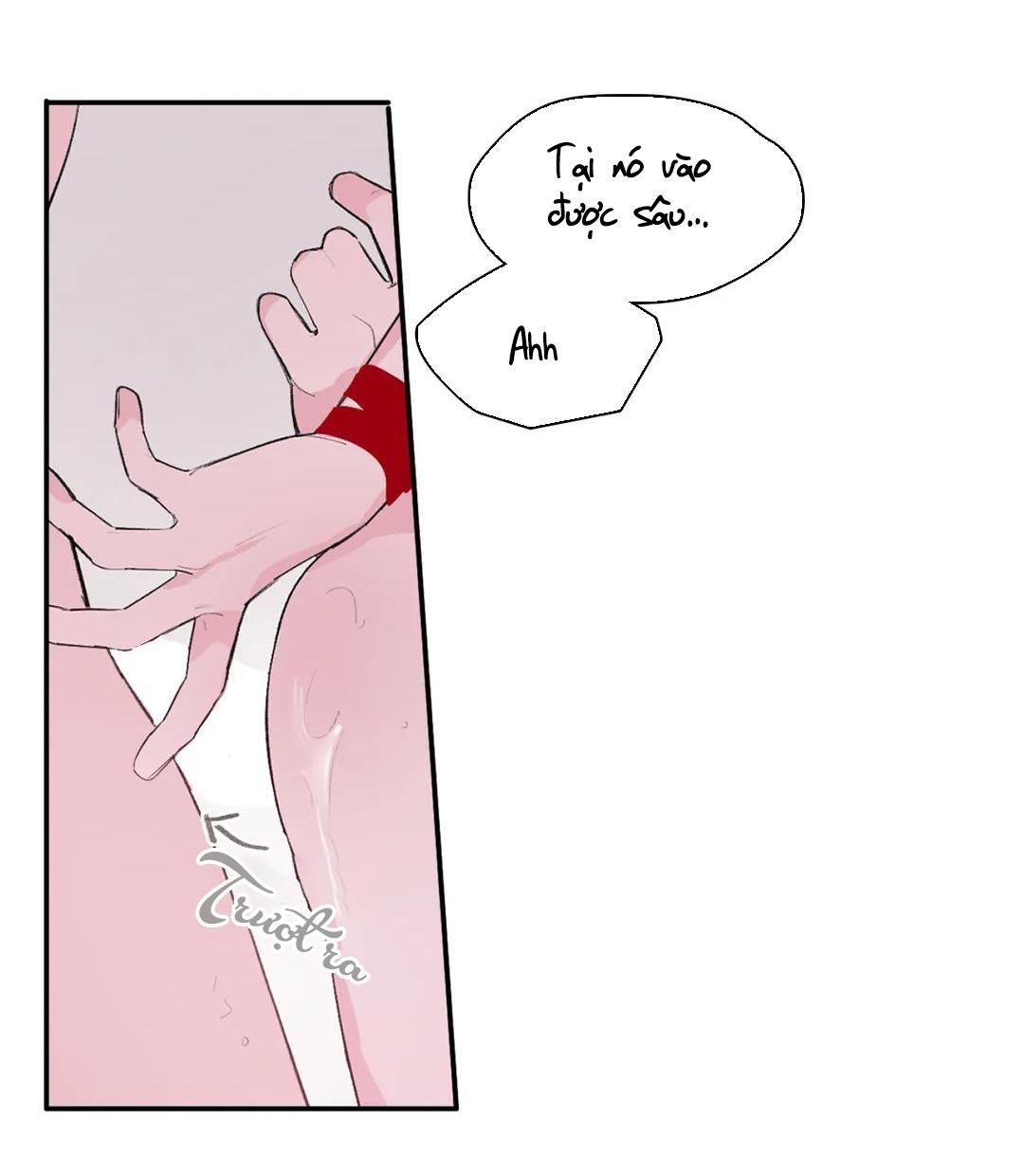 Vùng Đỏ Chapter 68 - PN8 - Next Chapter 69 - PN9