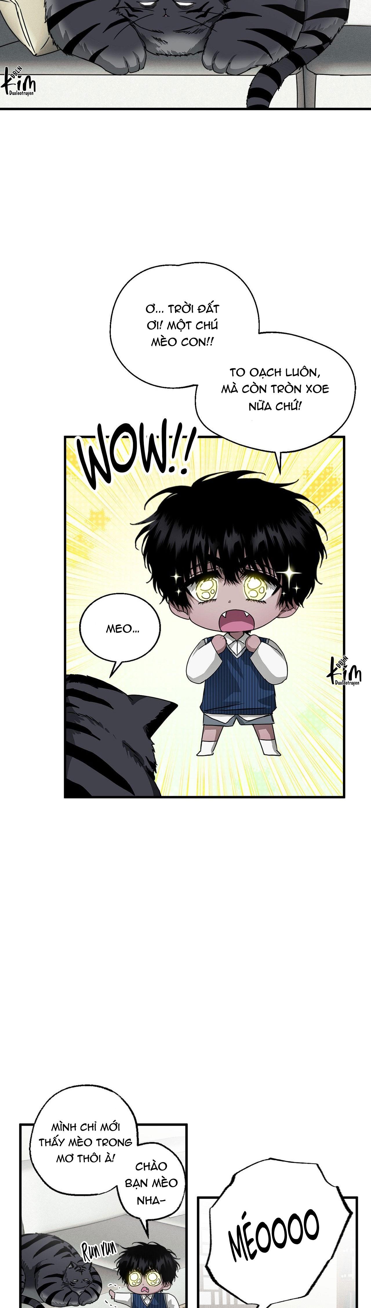 MẮT BÃO Chapter 13 - Next Chapter 14