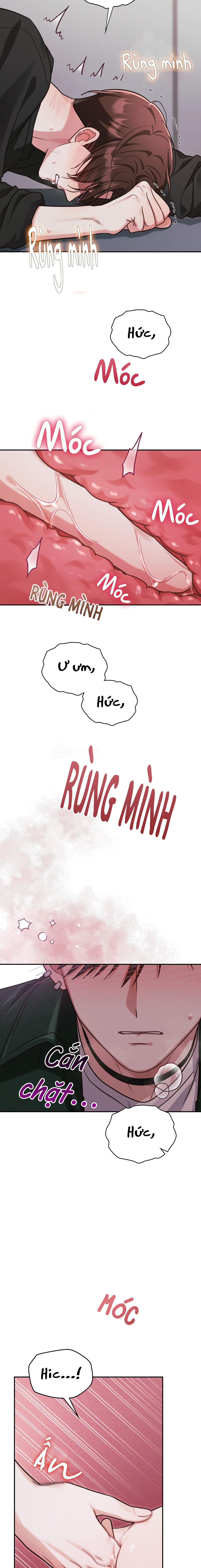 Dù Không Phải Guide Định Mệnh Của Cậu Chapter 12 - Next Chapter 13