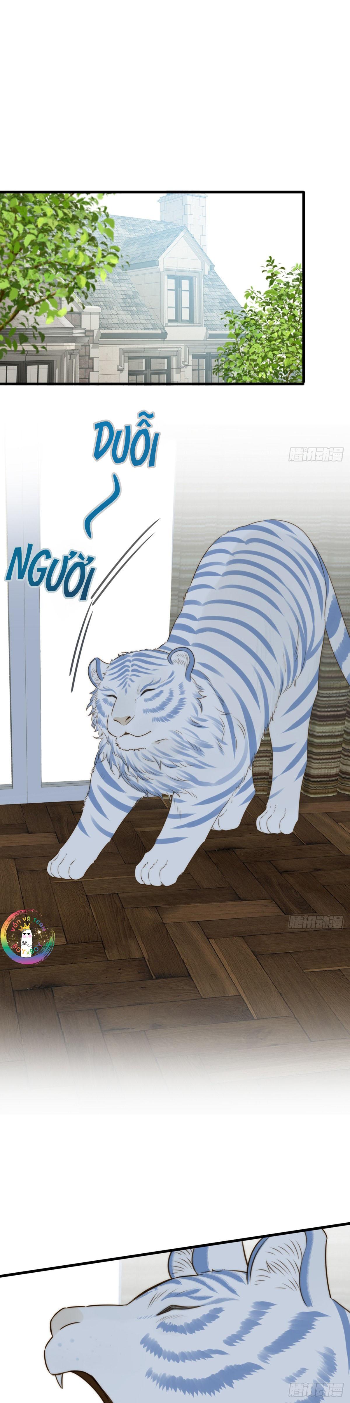 Chỉ Riêng Đuôi Là Không Được!!! Chapter 74 - Next 