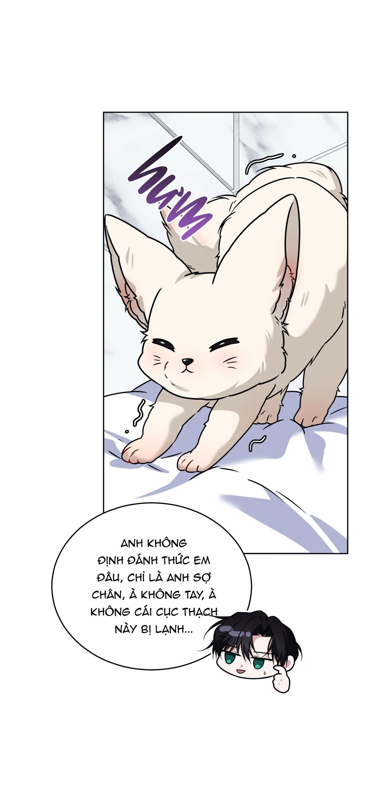 NƯỚC UỐNG TÌNH YÊU CỦA CÁO PLIN Chapter 46 - Next Chapter 47