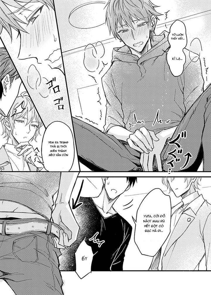 Tổng hợp oneshot Chapter 239.1 3P - Next Chapter 239.3