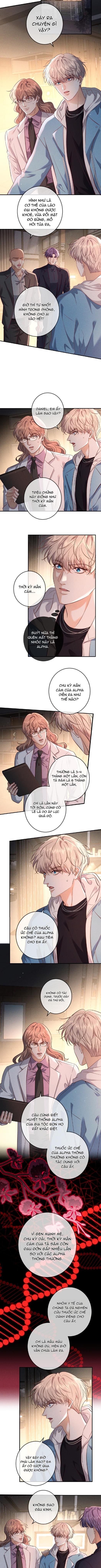 Cạn Tình Chapter 75 - Next Chapter 76