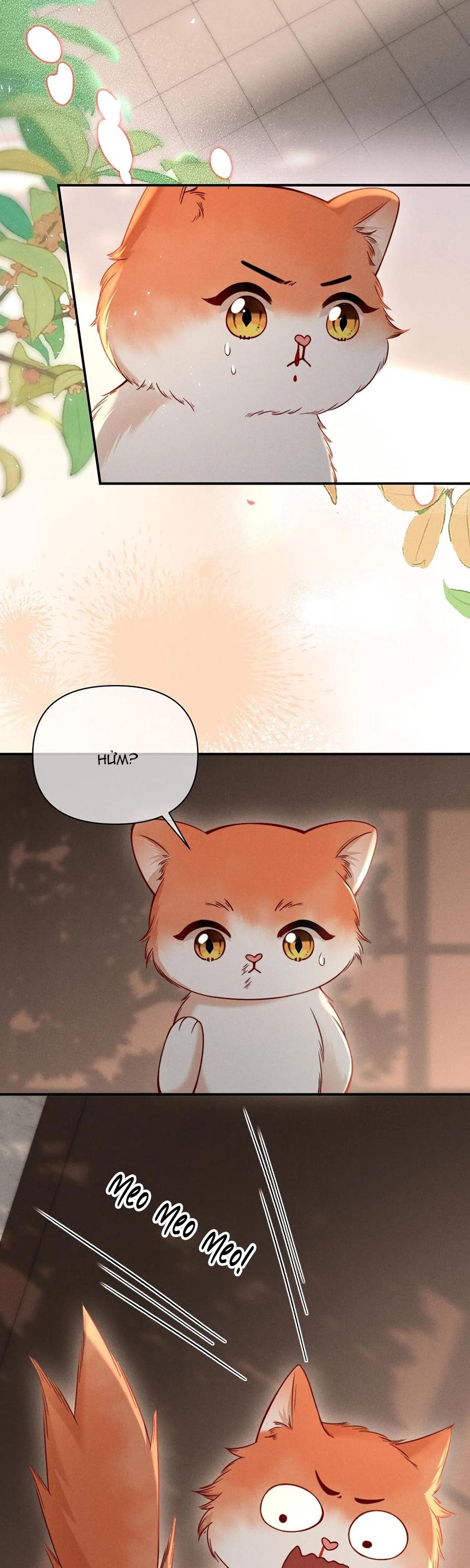 Nuông Chiều Sinh Hư Chapter 44 - Next 