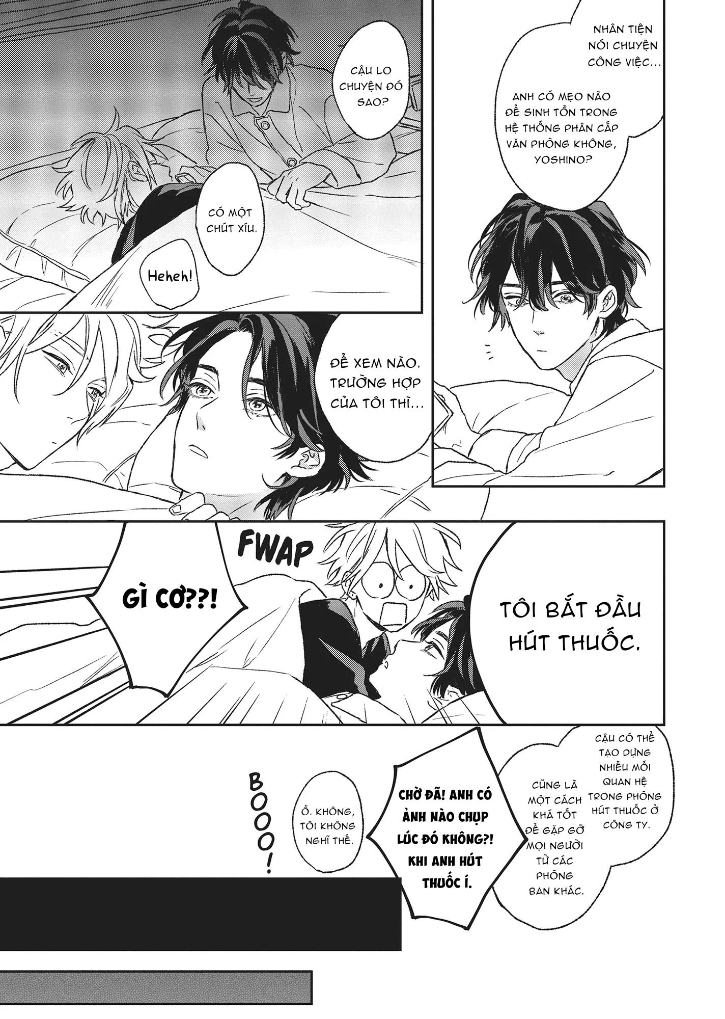 Tôi Đâu Định Yêu Cậu Chapter 6 - Trang 2