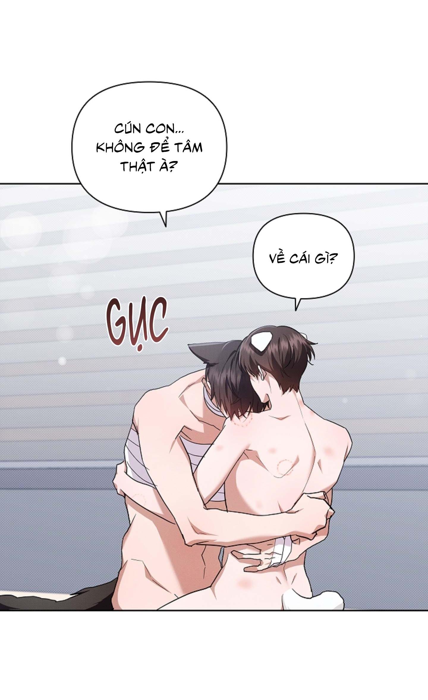 ĐỪNG ĐỘNG VÀO CÚN CON! Chapter 43 - Next 