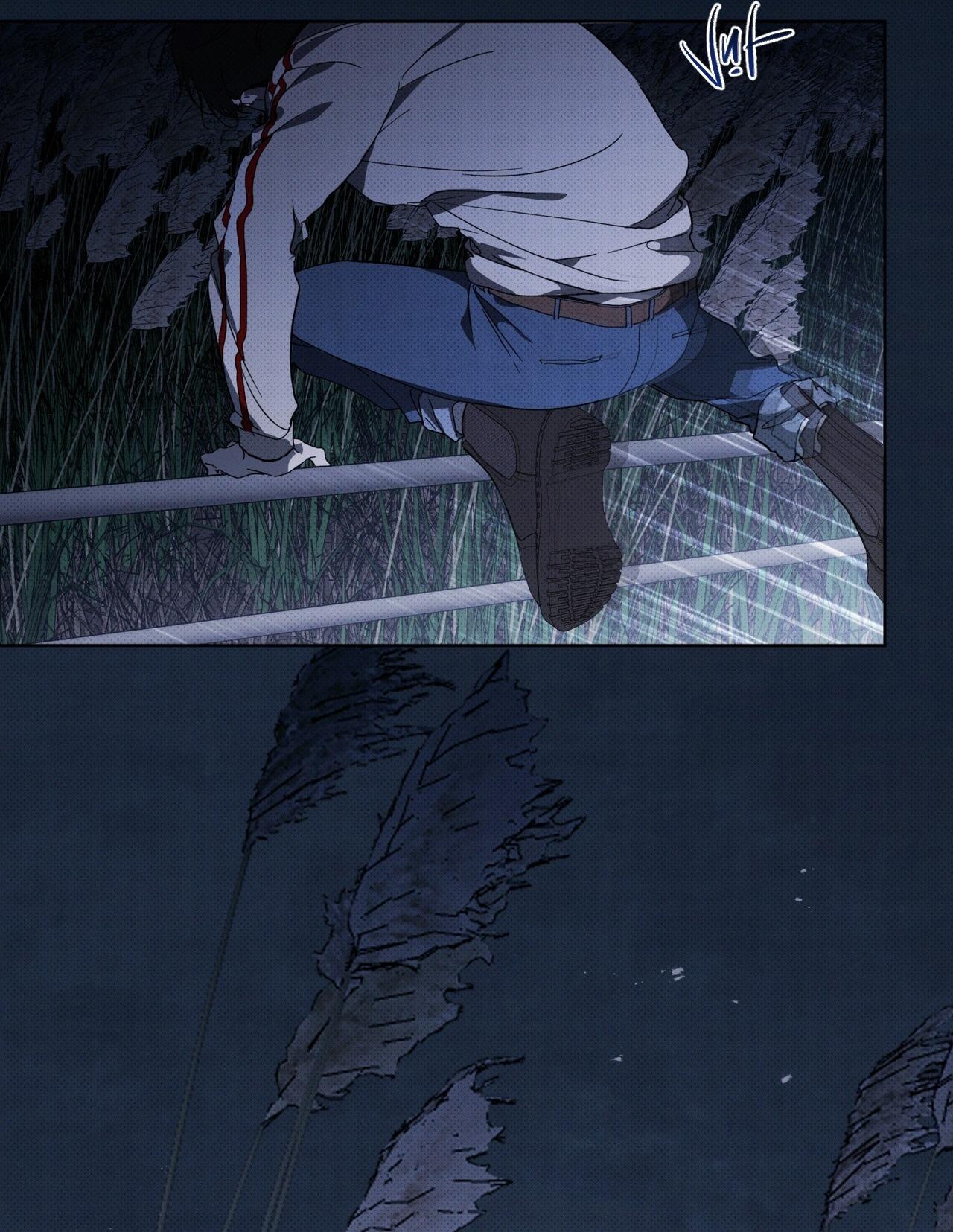 HÌNH THÁI TIẾN HÓA Chapter 13 - Next 