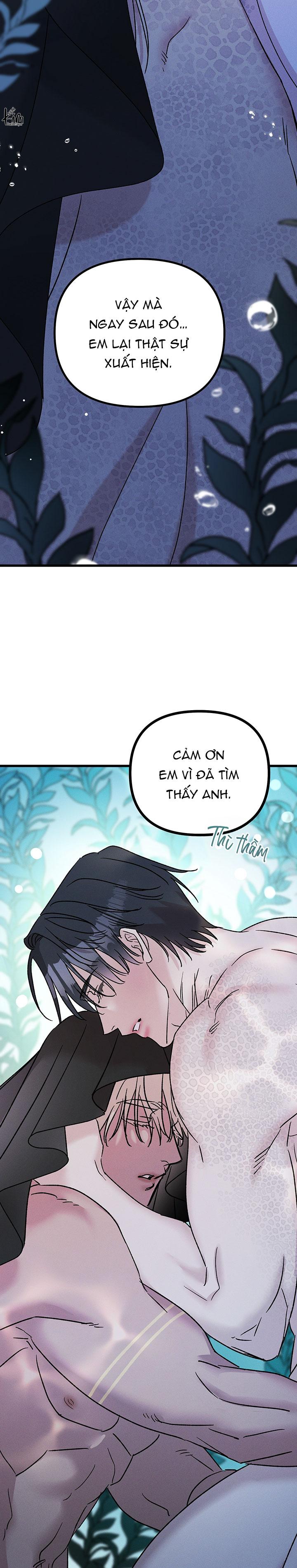 Mermaid's Cradle Chapter 11 - Next 