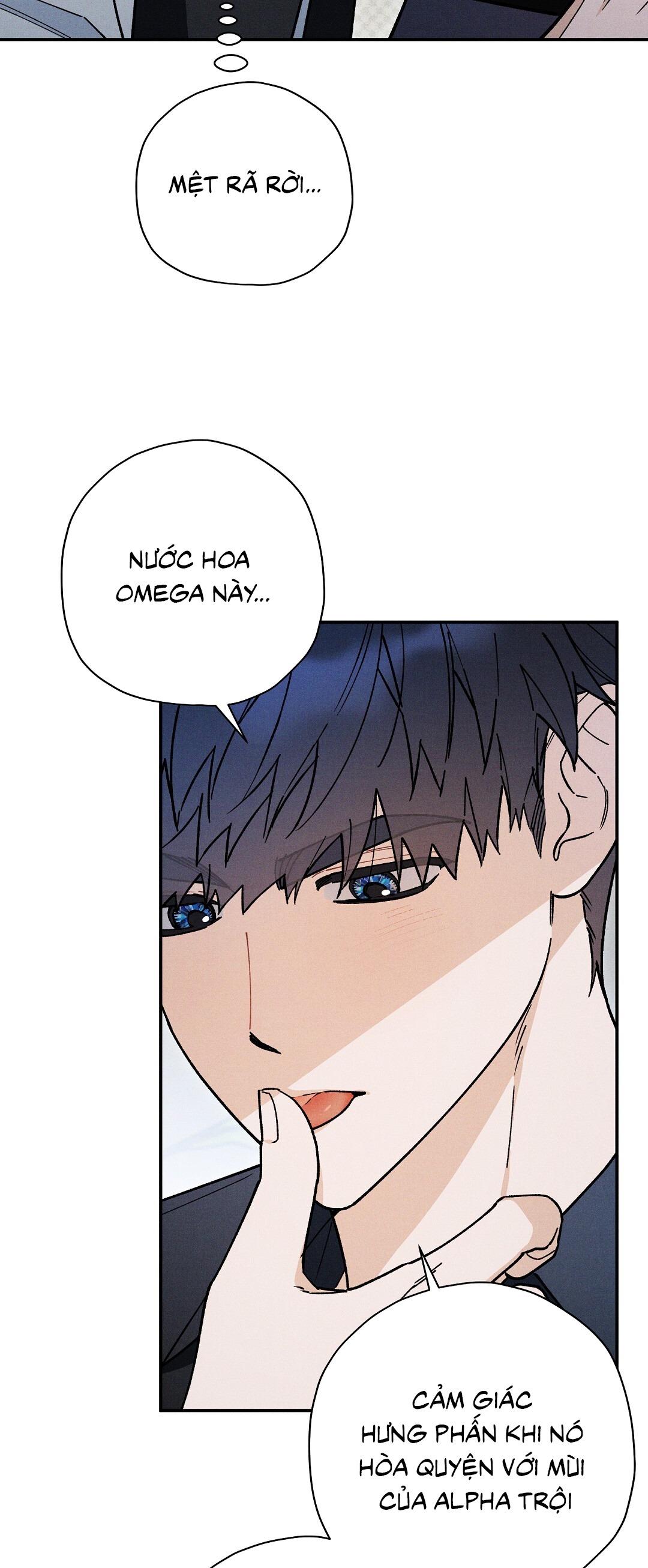 HOÀNG TỬ HƯ HỎNG CHE GIẤU MÌNH LÀ OMEGA Chapter 74 - Next 