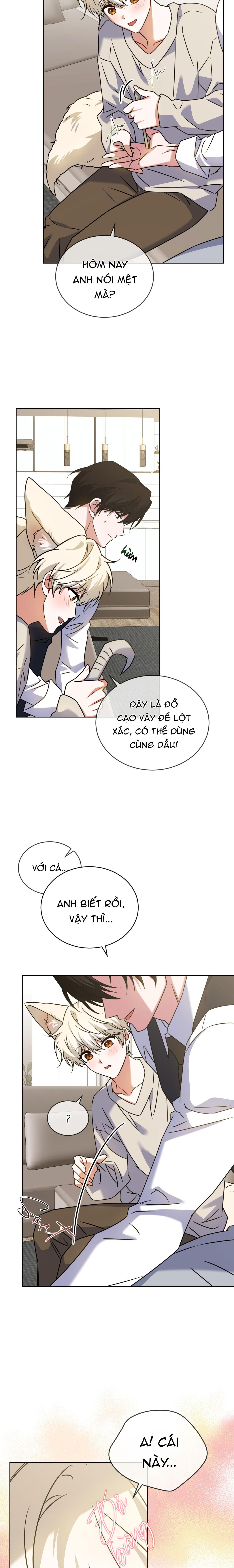 NƯỚC UỐNG TÌNH YÊU CỦA CÁO PLIN Chapter 42 - Next 