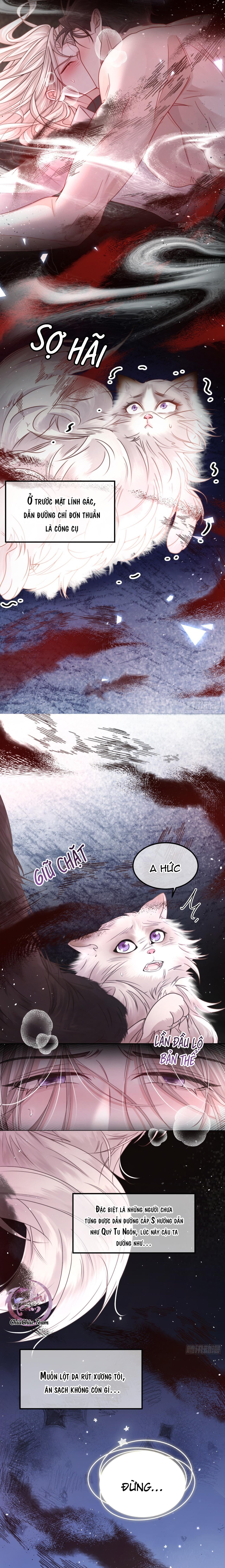 Chim Trong Lồng Chapter 2 - Next Chapter 3