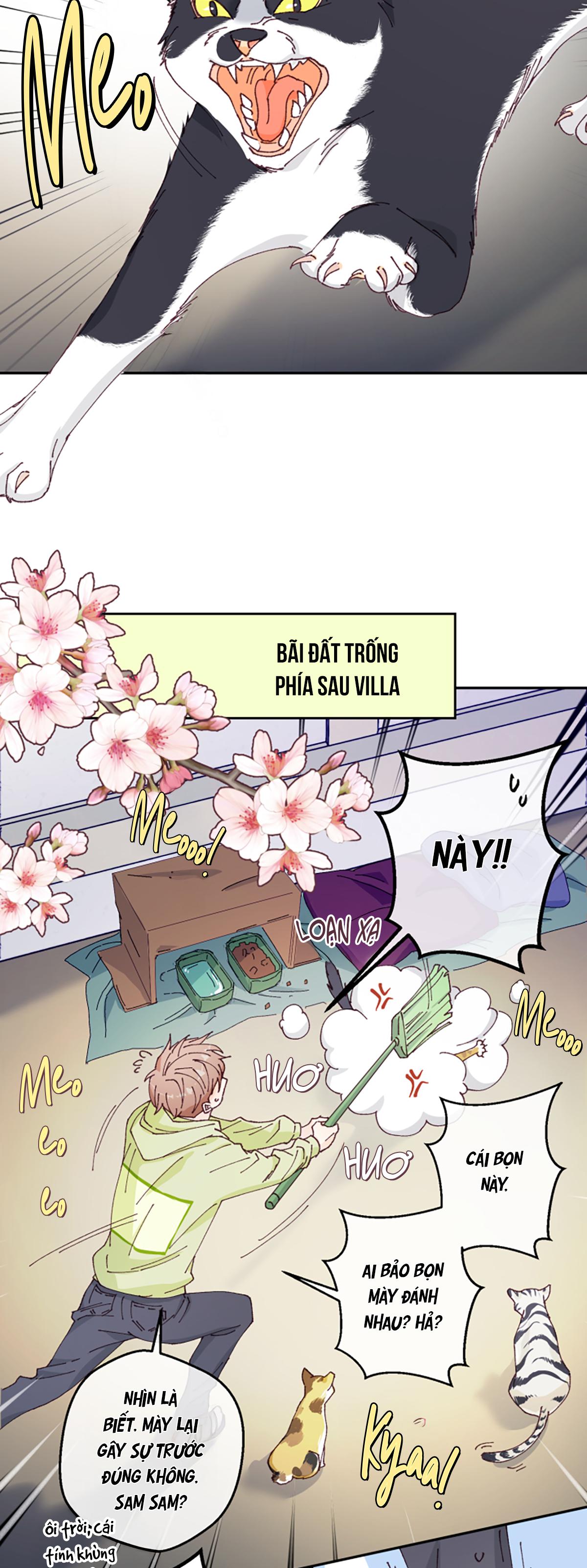 NGƯỜI HÀNG XÓM QUYẾN RŨ CỦA TÔI Chapter 1 - Next Chapter 2