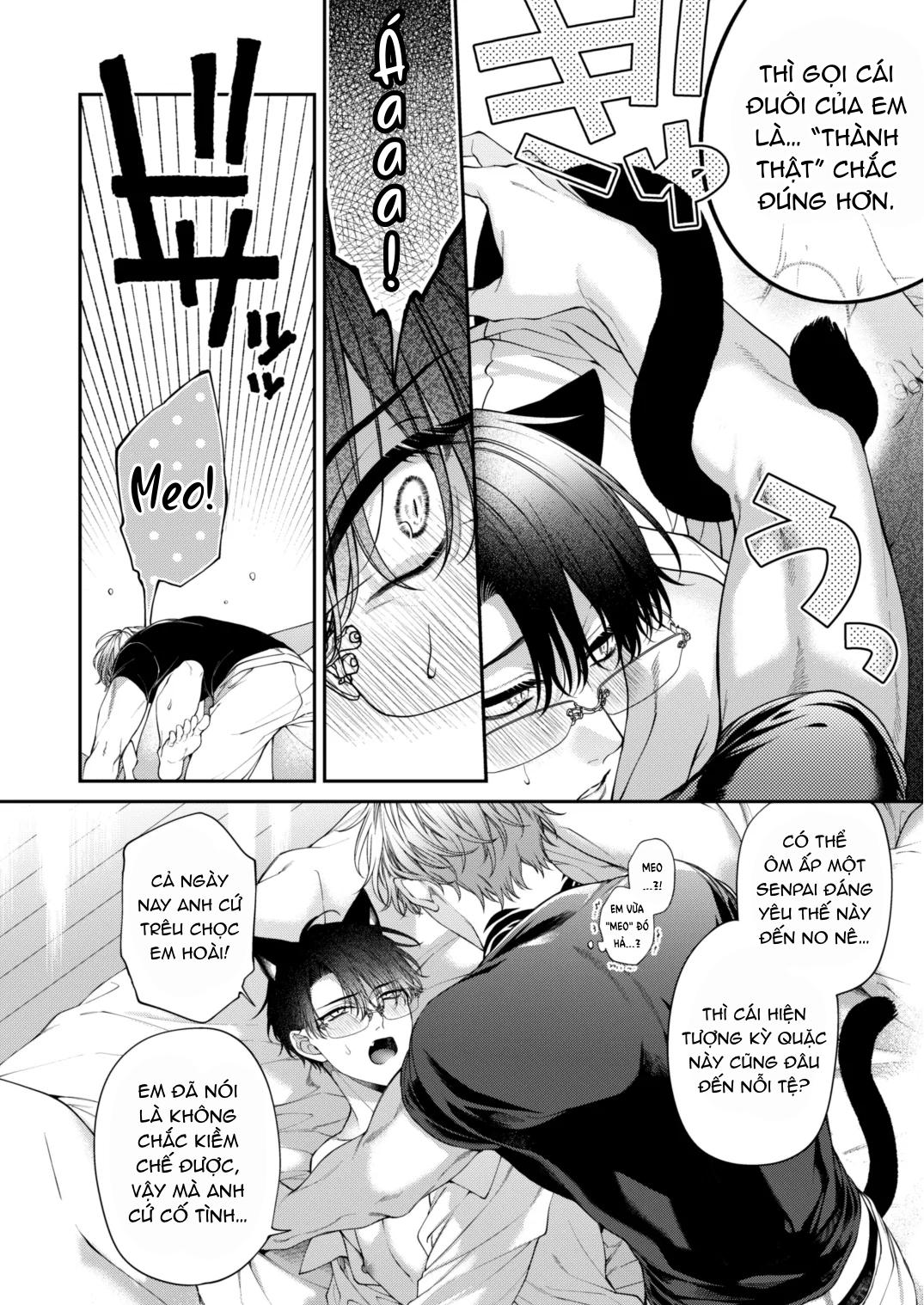 ONESHOT CƯNG MÀ NÓI Chapter 12 - Next Chapter 13