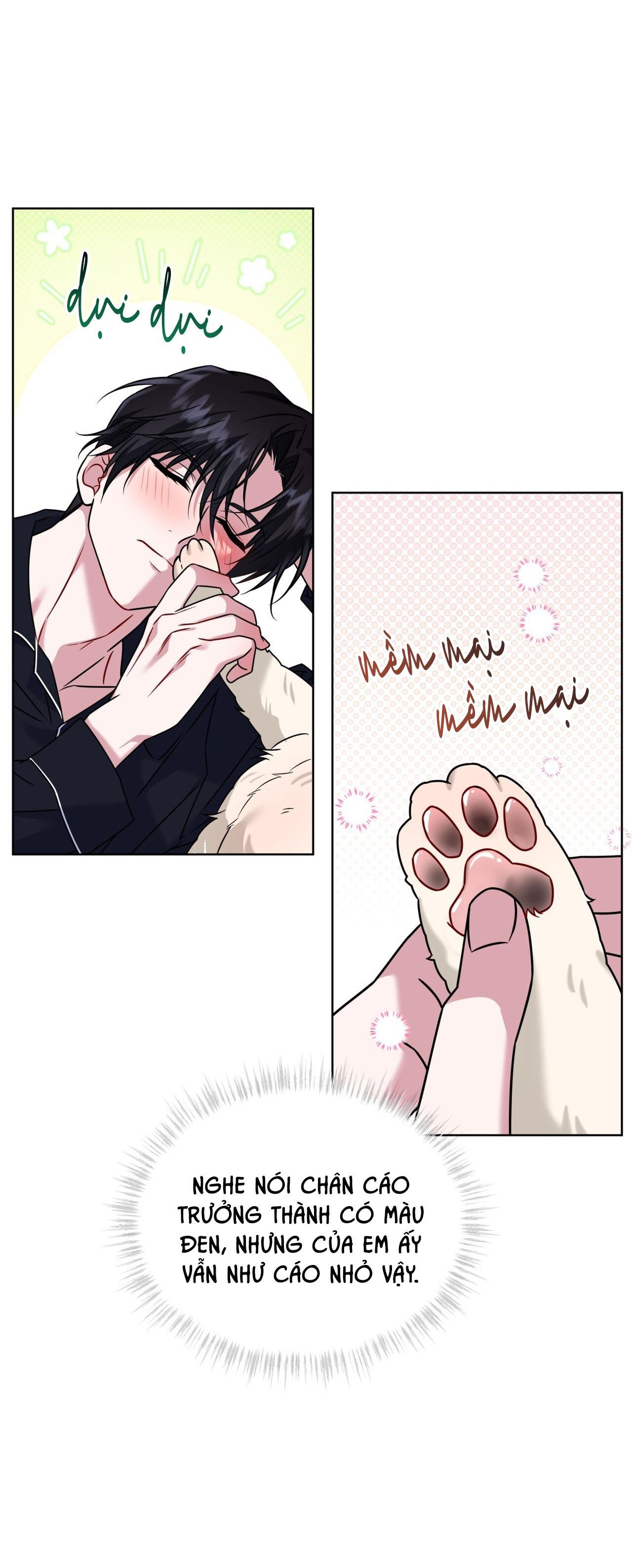 NƯỚC UỐNG TÌNH YÊU CỦA CÁO PLIN Chapter 46 - Next Chapter 47