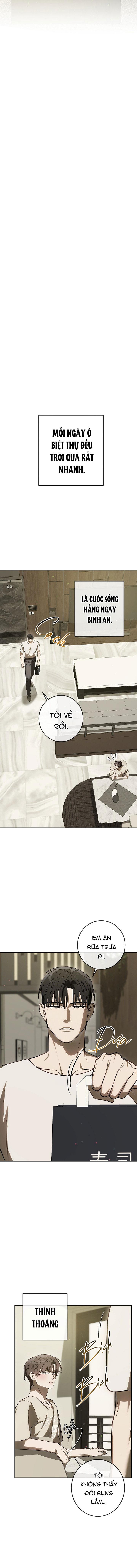 BẢO VẬT Chapter 34 - Next Chapter 35