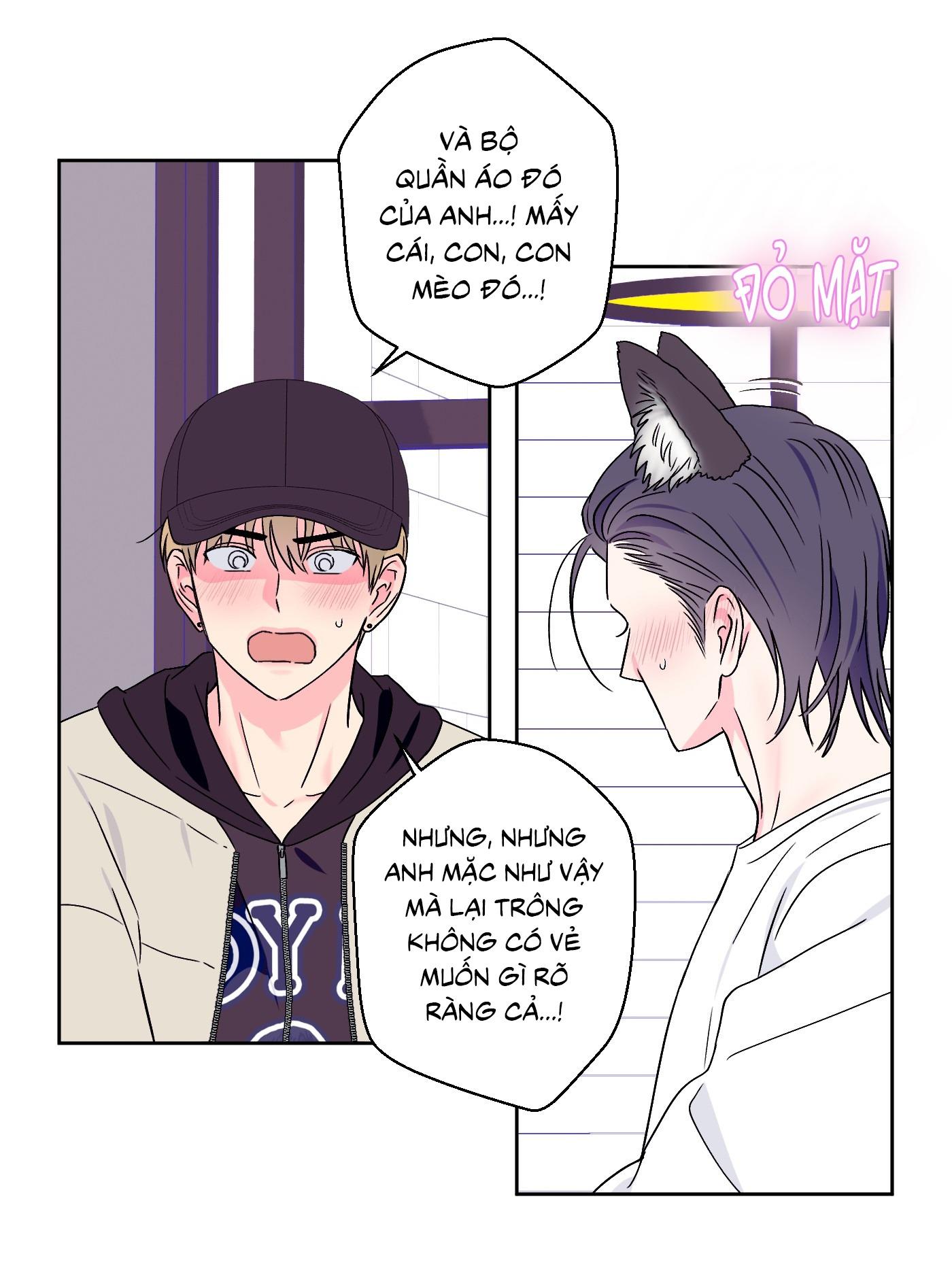 Vụ bê bối của Beta Chapter 55 Bé mèo - Next 