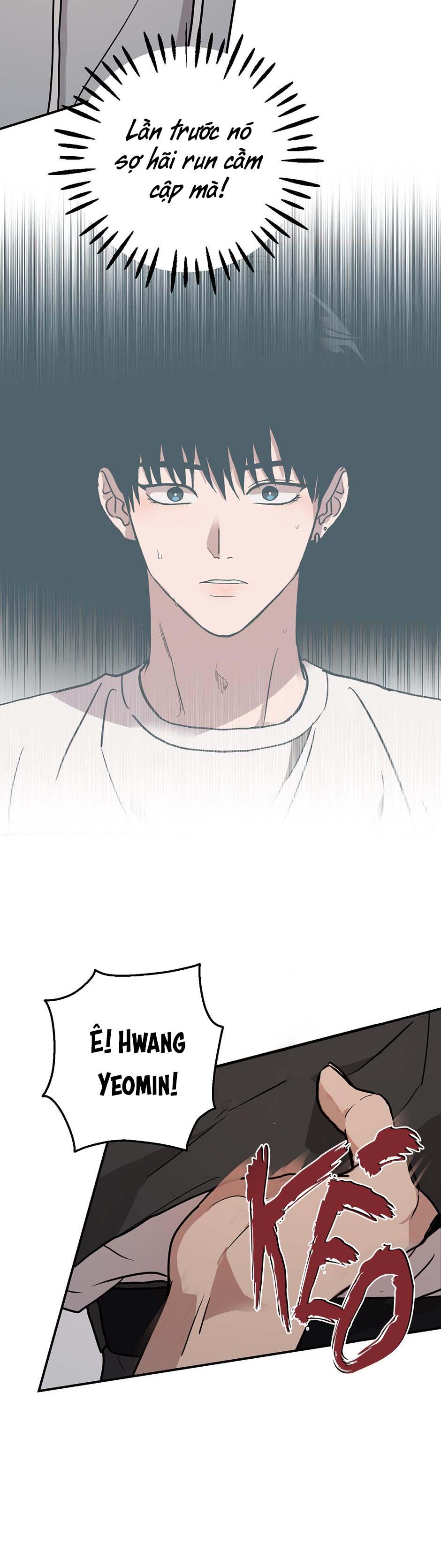 Lời Tán Tỉnh Ngọt Tựa Bánh Bích Quy Chapter 36 - Next Chapter 37