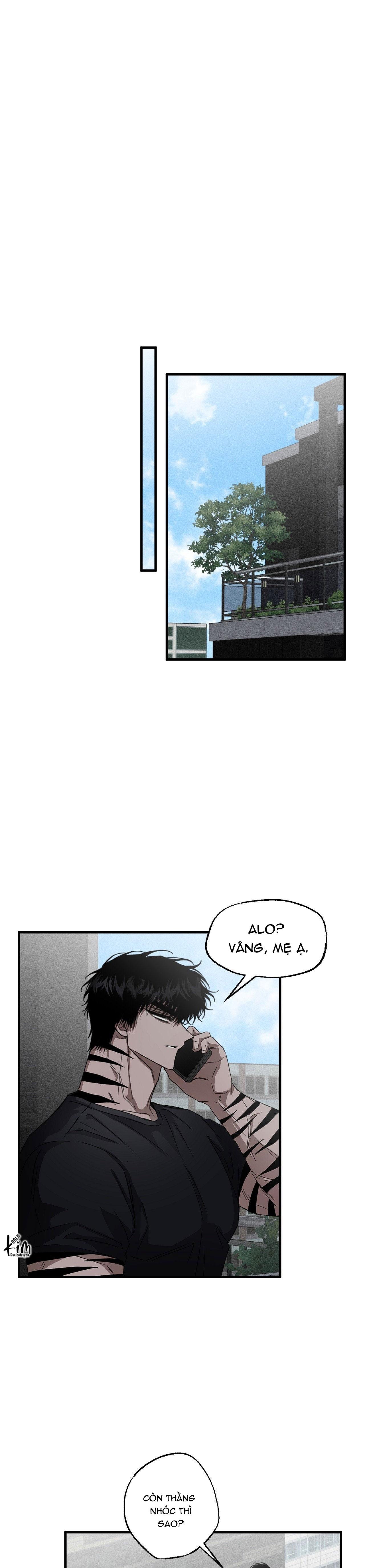 MẮT BÃO Chapter 12 - Next 