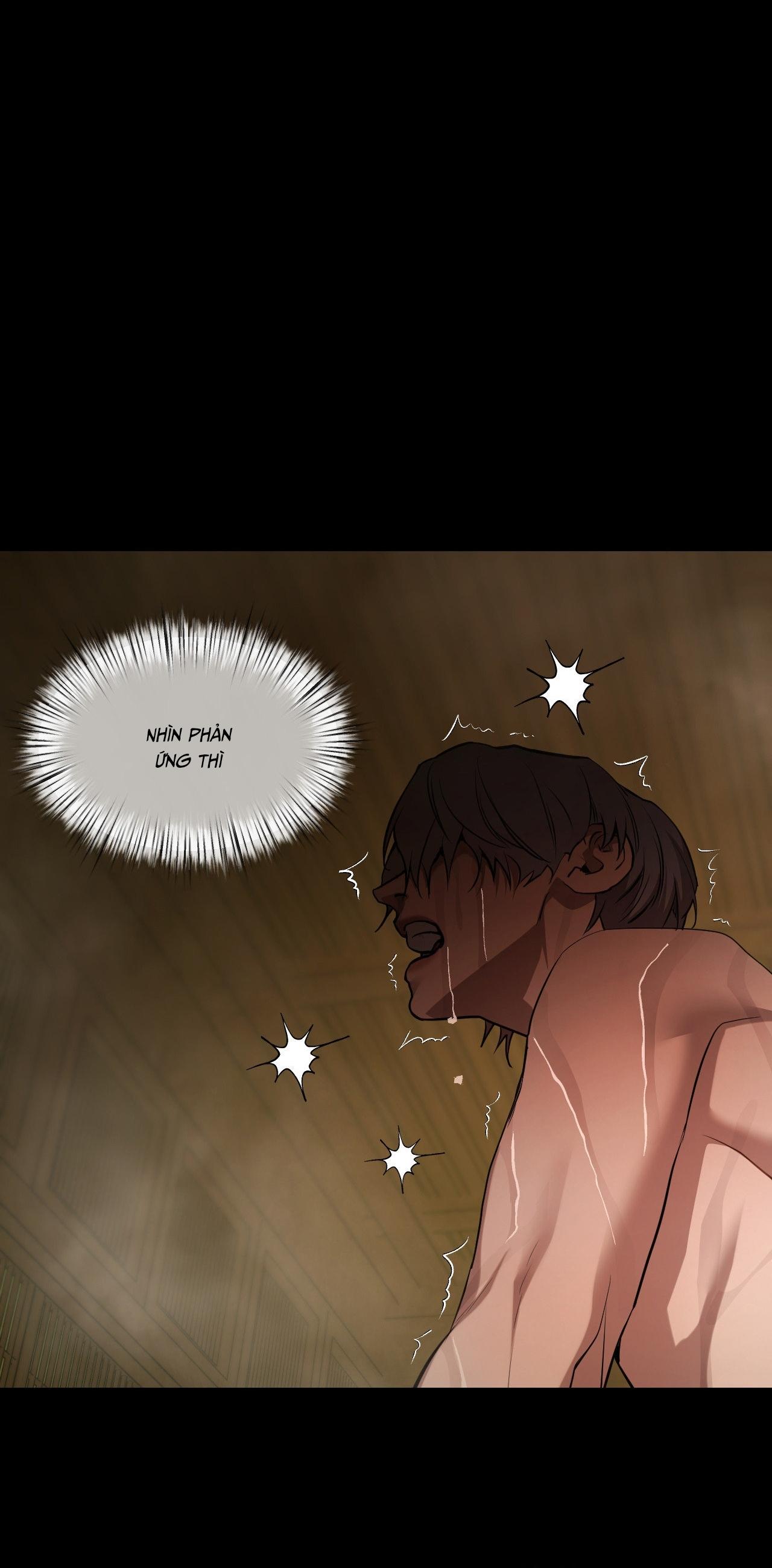 PEARL BOY: IGNITE THE DAWN Chapter 12 - Next 