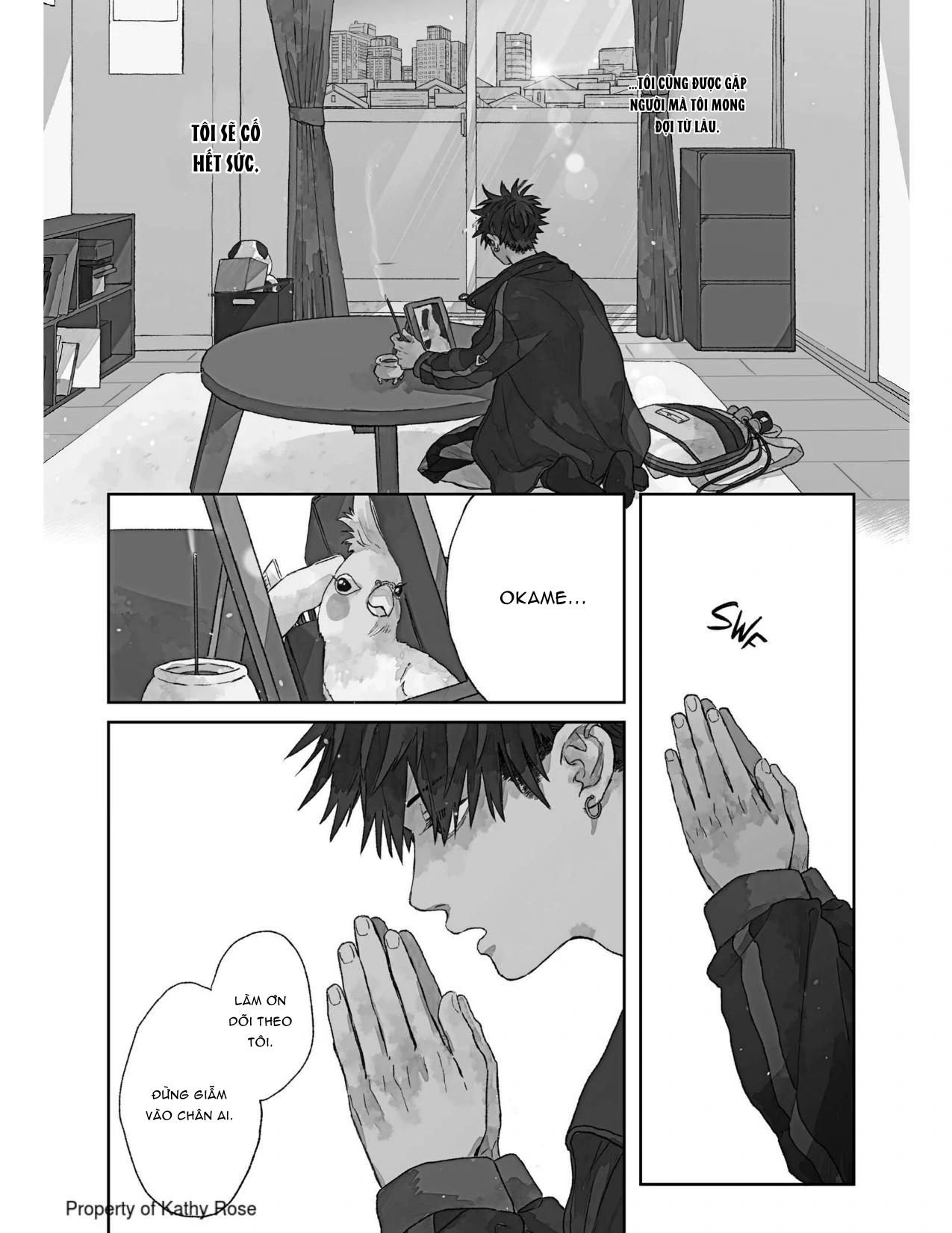 Báu Vật Của Takara Chapter 1 - Trang 2